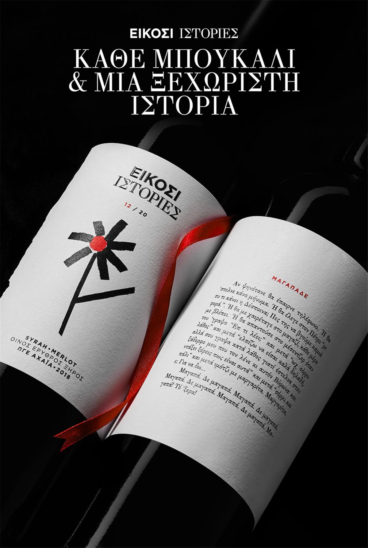 寧夏紅酒包裝設(shè)計(jì)公司推薦參考案例(圖20)