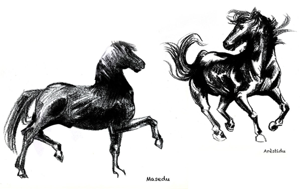 葡萄酒包裝設(shè)計(jì)(圖5)