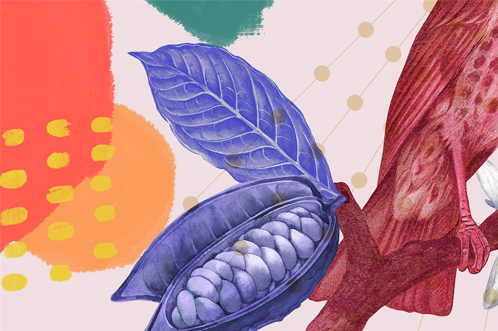 插畫咖啡包裝設計(圖4)