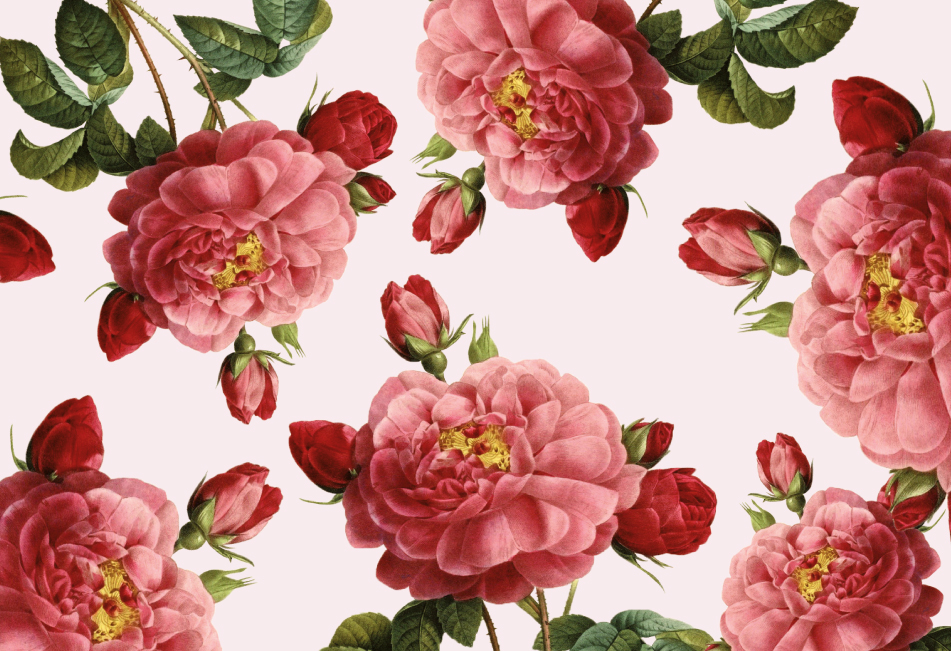 玫瑰精油品牌產(chǎn)品包裝設(shè)計(jì)(圖1)