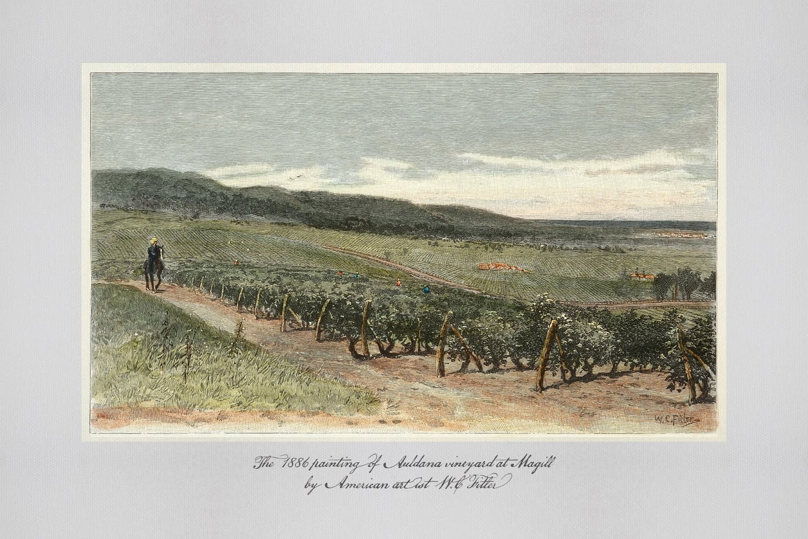 高端的葡萄酒包裝設(shè)計(jì)圖片欣賞(圖3) 高端的葡萄酒包裝設(shè)計(jì)圖片欣賞(圖3)