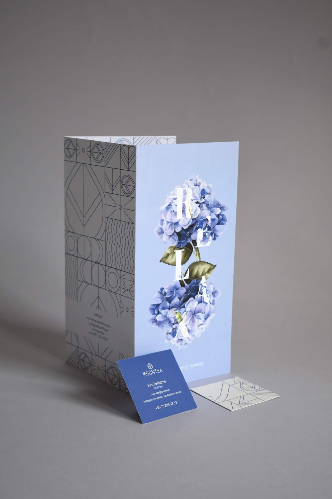 花茶包裝設(shè)計(jì)圖片(圖2)