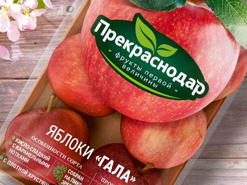 青島產(chǎn)品包裝設(shè)計(jì)(圖1)