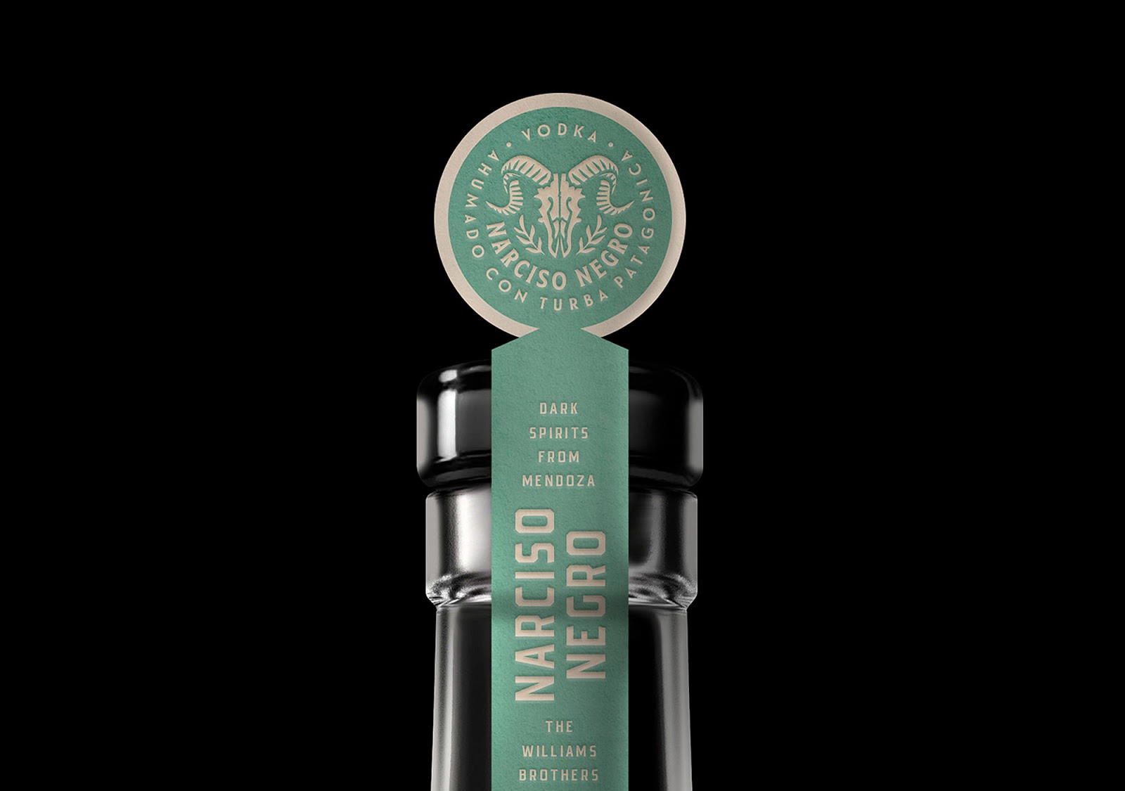 珠海光瓶酒包裝設(shè)計(jì)代表了主人的一個(gè)夢想(圖3)