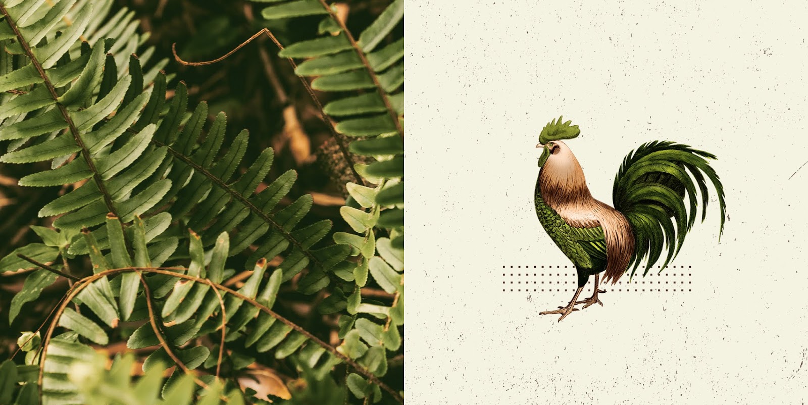 東營(yíng)產(chǎn)品包裝設(shè)計(jì)有可愛(ài)的詩(shī)歌和奇妙的插圖(圖5)