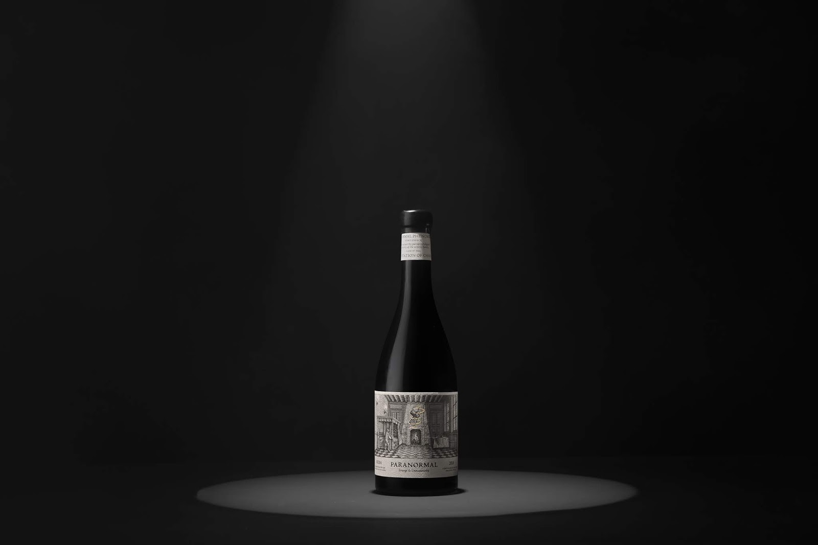 包頭外星人都喜歡的紅酒包裝設(shè)計(圖6)