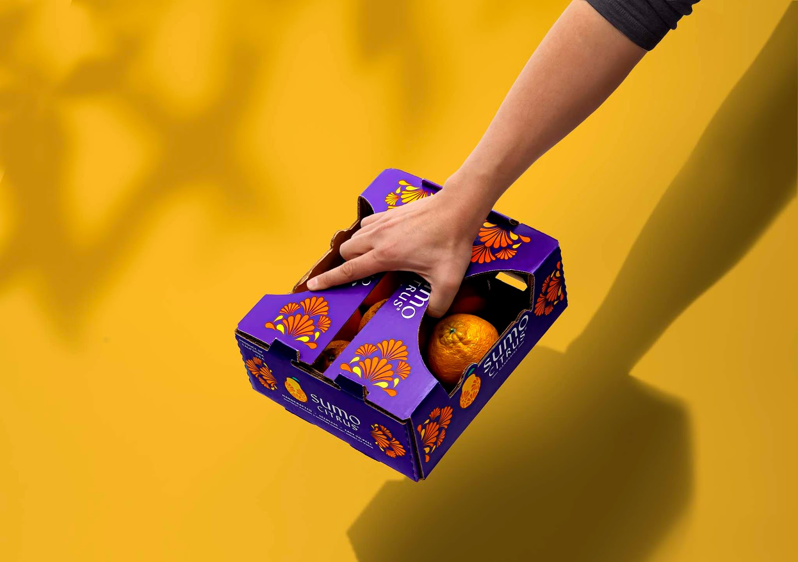 包頭水果品牌包裝設(shè)計(jì)非常有吸引力(圖3) 包頭水果品牌包裝設(shè)計(jì)非常有吸引力(圖3)