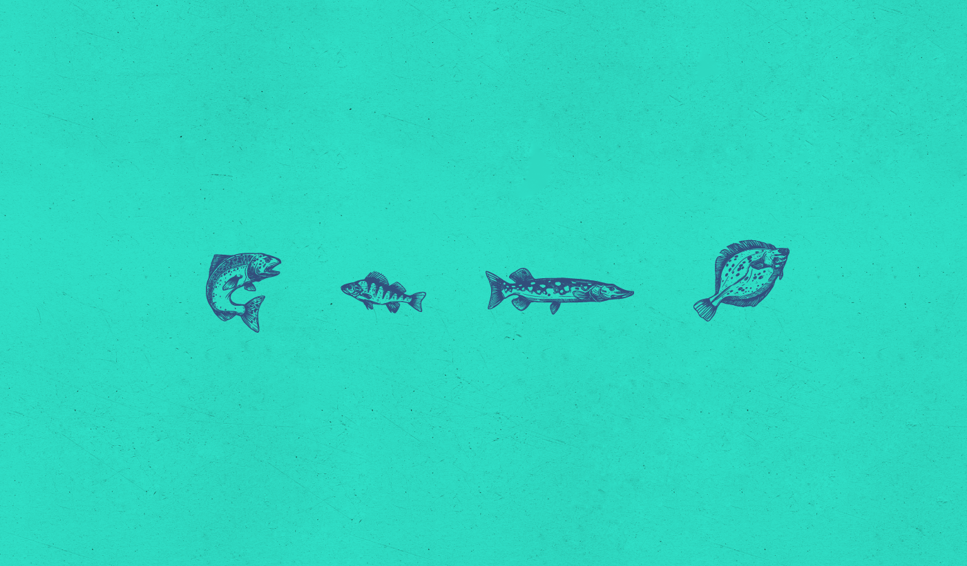 濟(jì)寧海產(chǎn)品包裝設(shè)計(jì)簡(jiǎn)約設(shè)計(jì)(圖7) 濟(jì)寧海產(chǎn)品包裝設(shè)計(jì)簡(jiǎn)約設(shè)計(jì)(圖7)