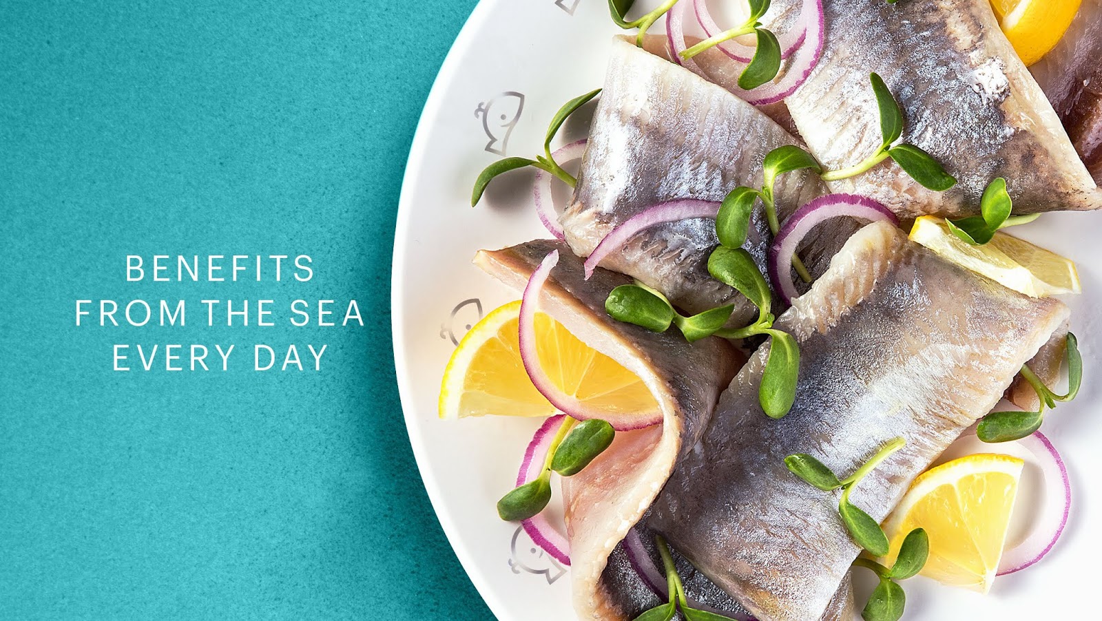 海產(chǎn)品包裝設(shè)計(jì)欣賞(圖2) 海產(chǎn)品包裝設(shè)計(jì)欣賞(圖2)