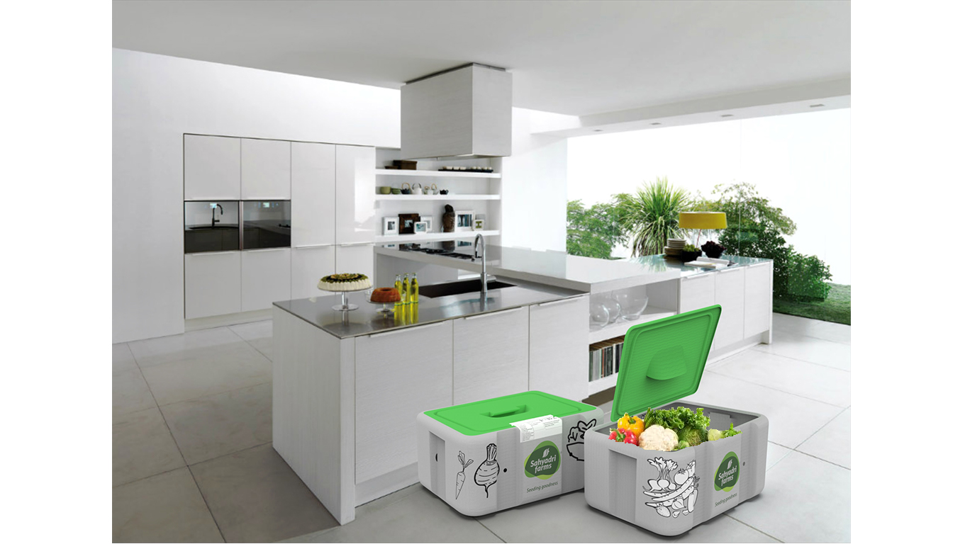 有機蔬菜外箱設(shè)計(圖4)