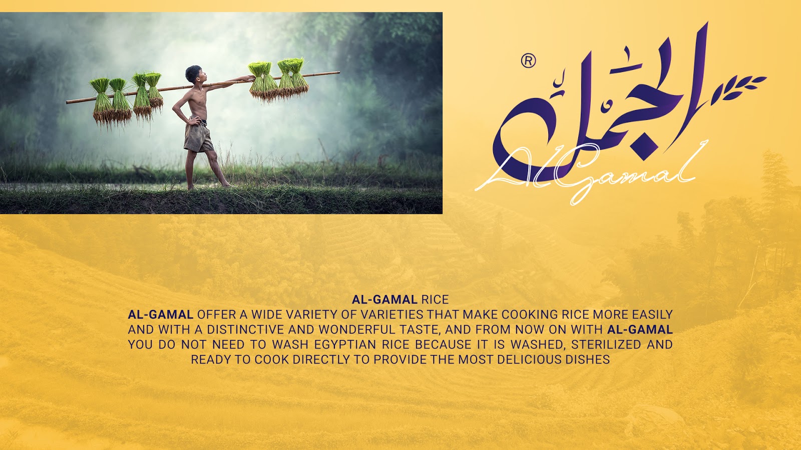 國外大米包裝設計欣賞(圖5)