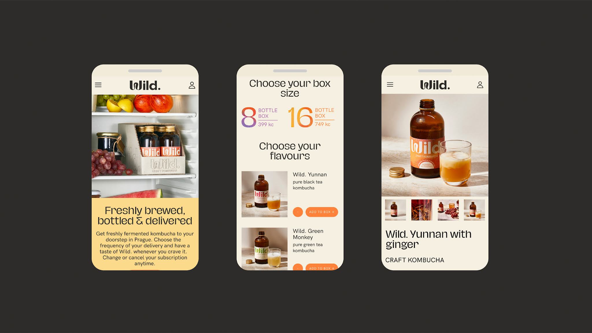 荒野康普茶包裝設計(圖14)