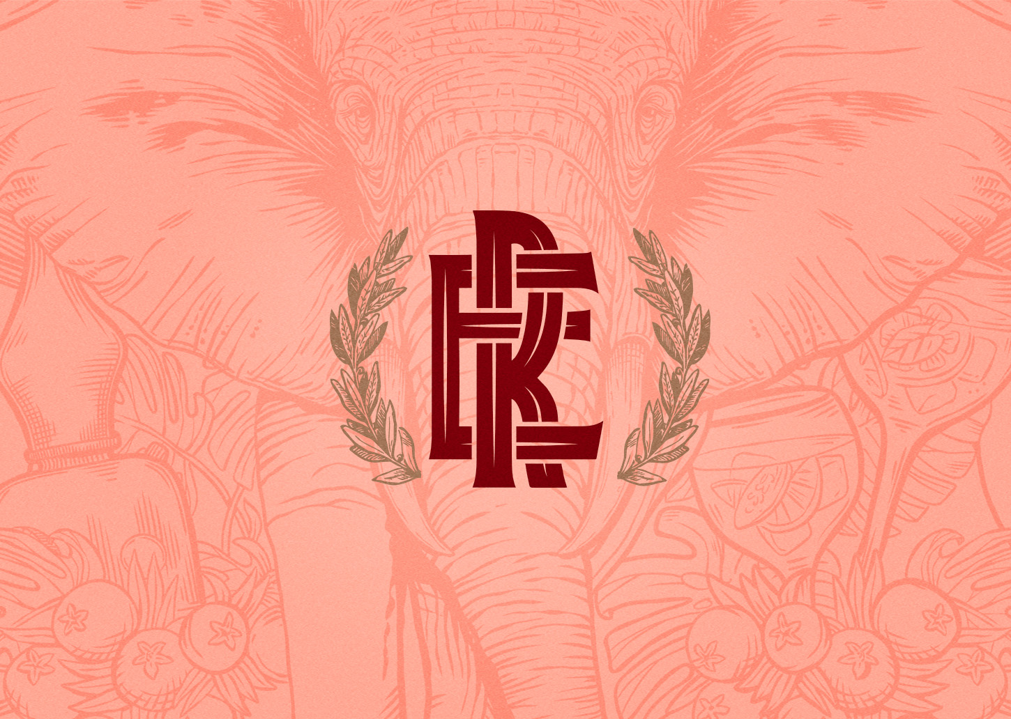 Gin Elefante Rojo杜松子酒包裝設(shè)計(jì)(圖6)