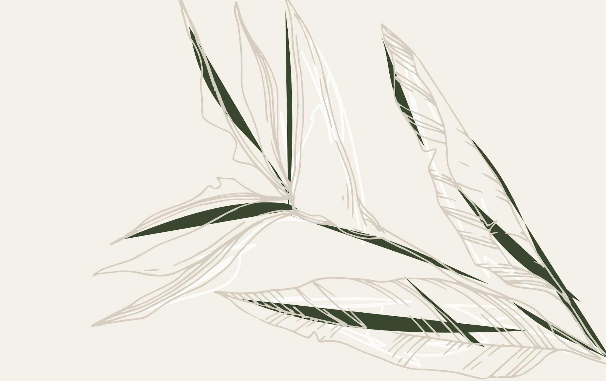 無殘留洗發(fā)水包裝設(shè)計(jì)(圖21)