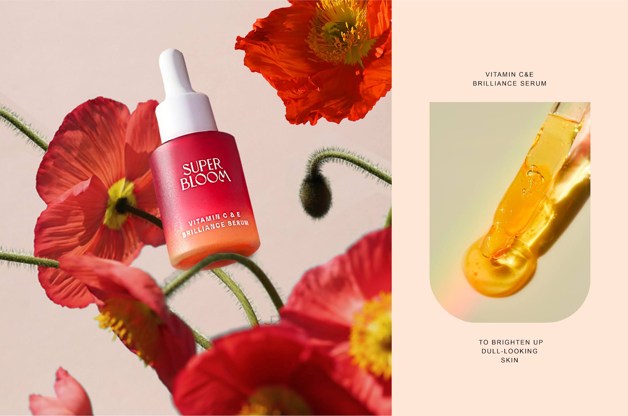 超級(jí)綻放化妝品包裝設(shè)計(jì)(圖14)