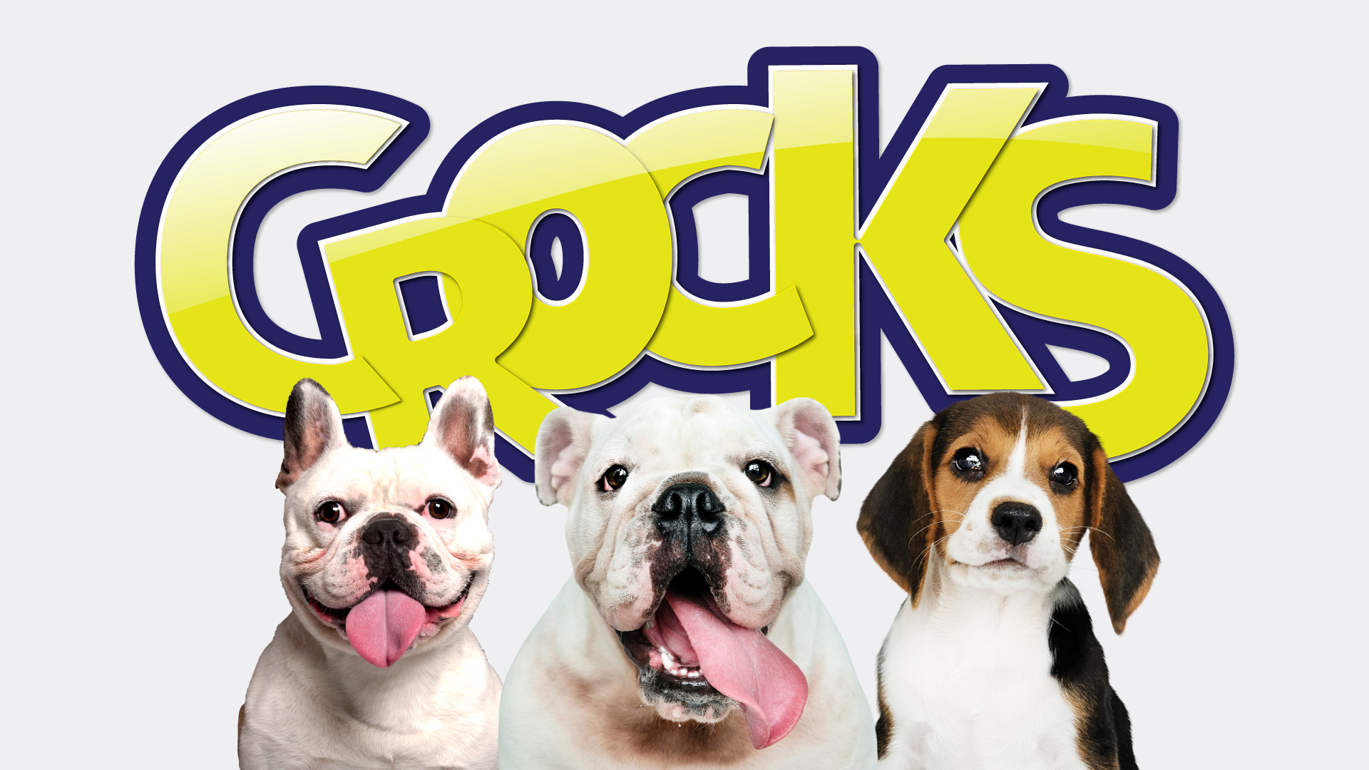 寵物包裝設(shè)計(jì)欣賞狗食品狗糧包裝設(shè)計(jì)欣賞包裝設(shè)計(jì)(圖4)