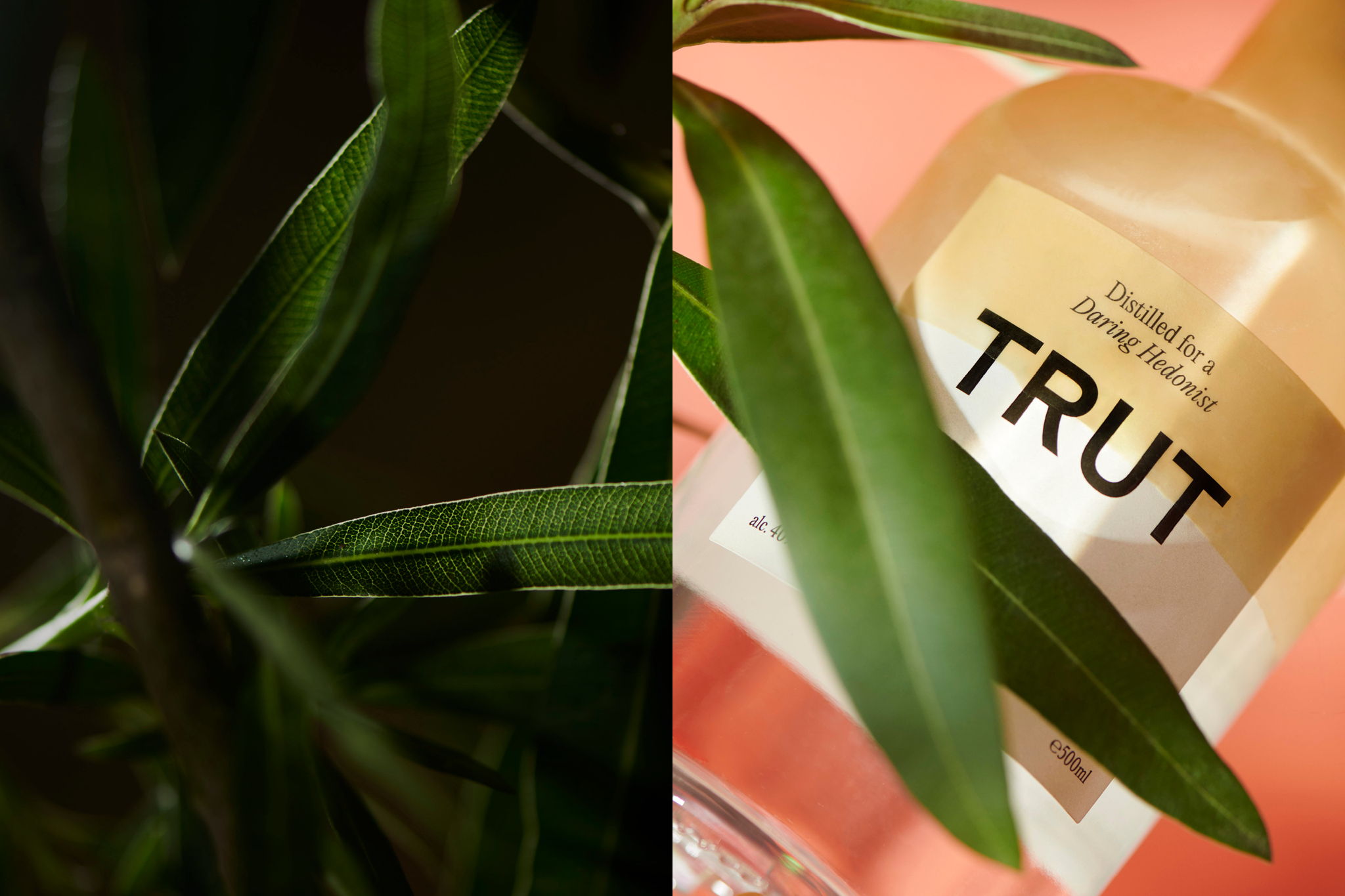 TRUT酒包裝，迷人的酒瓶專注于每一個(gè)設(shè)計(jì)細(xì)節(jié)(圖7)