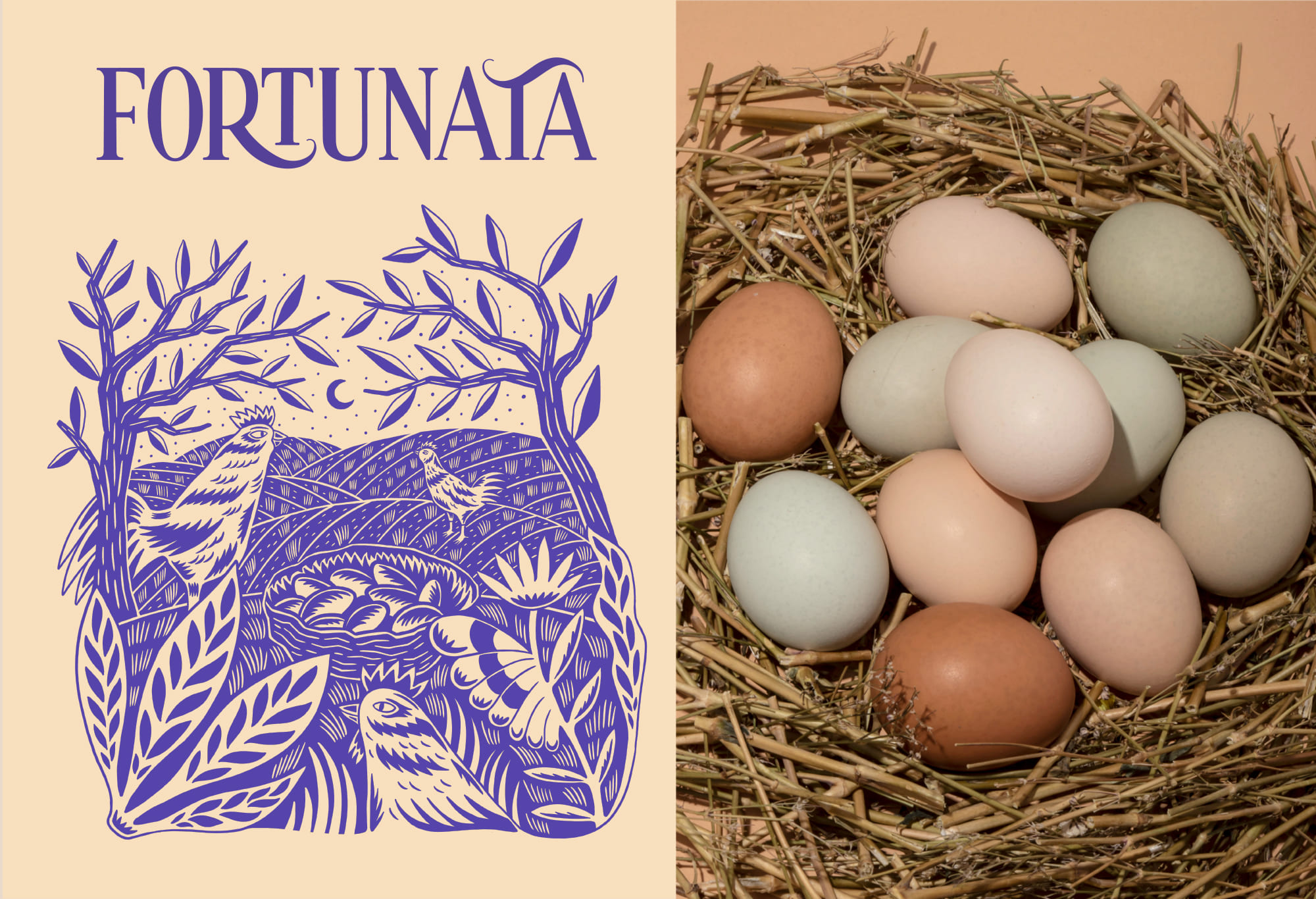 農(nóng)產(chǎn)品雞蛋視覺包裝設(shè)計(jì)這樣做(圖5)