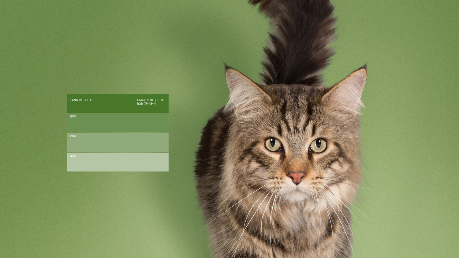 Ultima高端寵物包裝設計欣賞食品包裝這樣設計(圖3) Ultima高端寵物包裝設計欣賞食品包裝這樣設計(圖3)