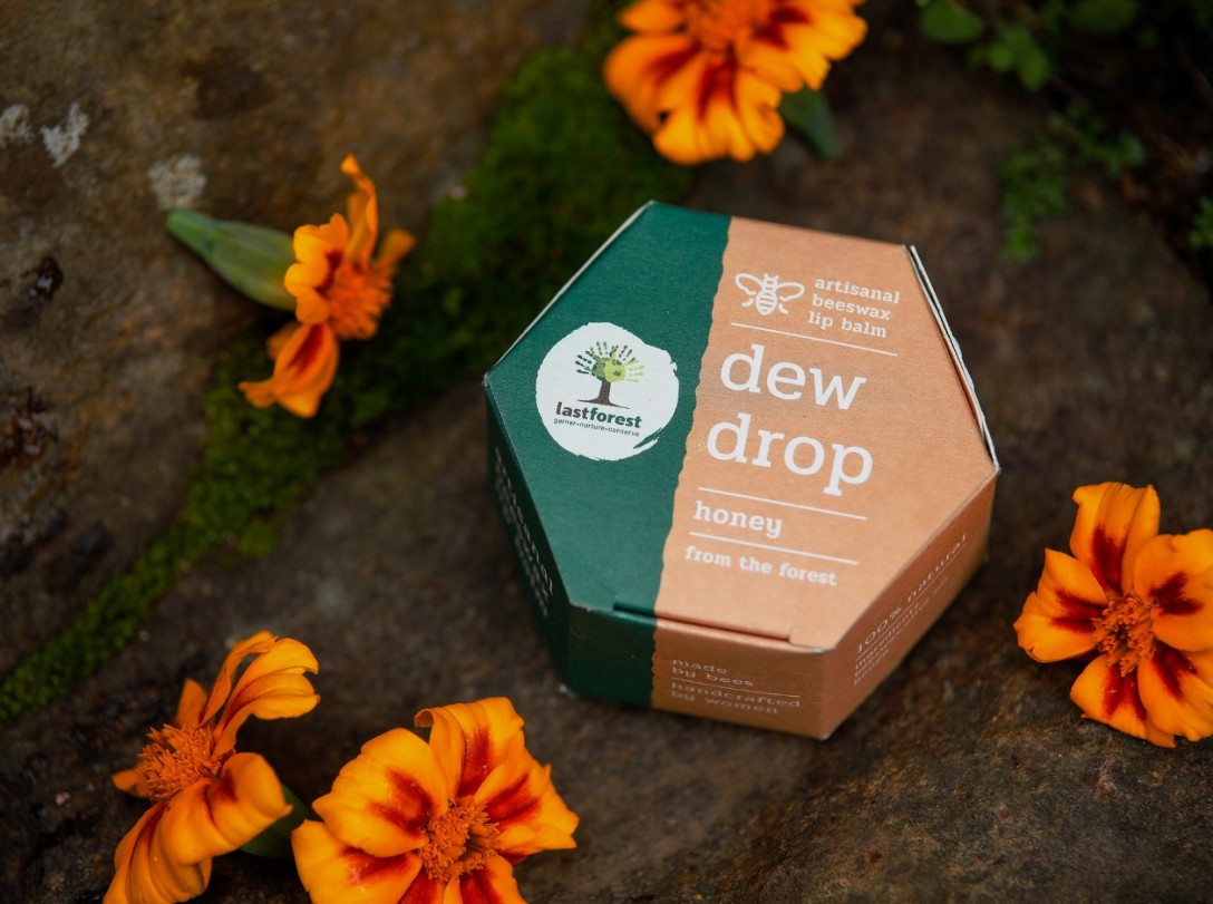 ?Last Forest 手工蜂蠟潤唇膏的包裝設(shè)計(圖4)