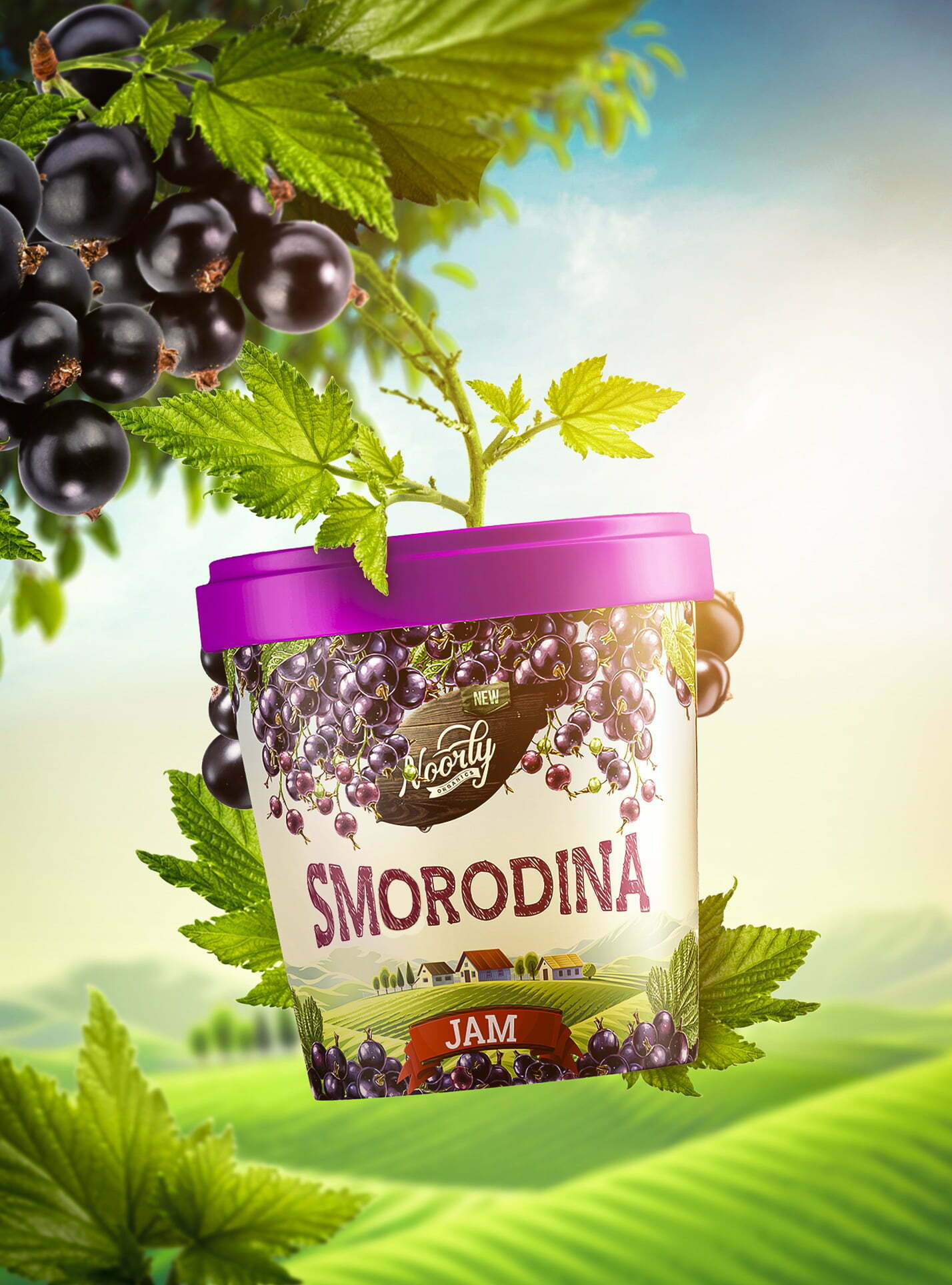 鮮艷明亮的Noorly水果醬包裝設(shè)計這樣做(圖6)