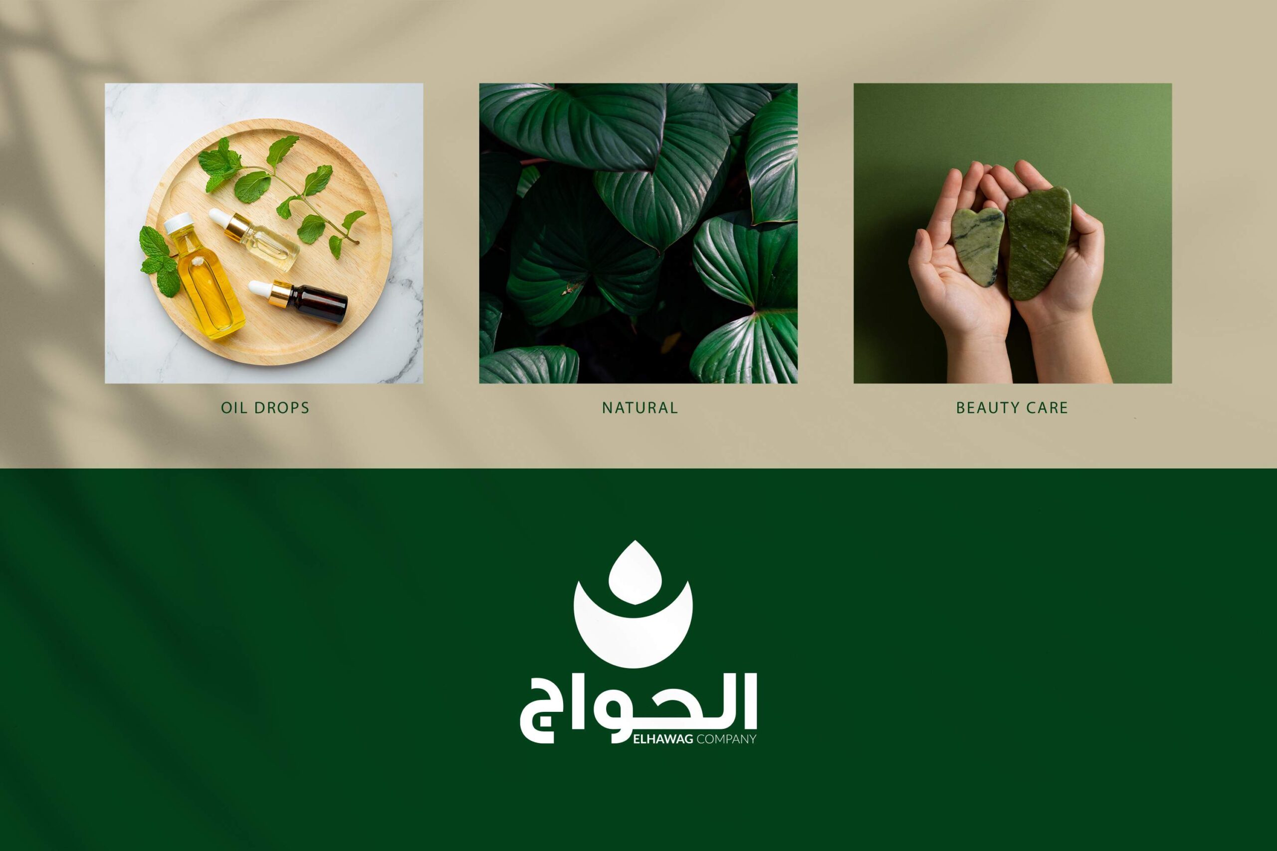 保健產(chǎn)品包裝設(shè)計(jì)這樣做貨架上更易識(shí)別(圖2) 保健產(chǎn)品包裝設(shè)計(jì)這樣做貨架上更易識(shí)別(圖2)