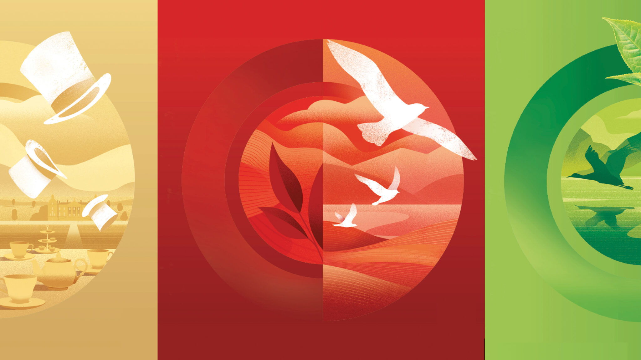 Twinings 茶包裝這樣設計視覺識別更加現(xiàn)代(圖4)