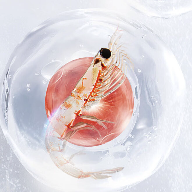 Schiff 旭福 MegaRed 500mg 磷蝦油 40粒保健產(chǎn)品包裝創(chuàng)意設(shè)計(jì)欣賞(圖5)