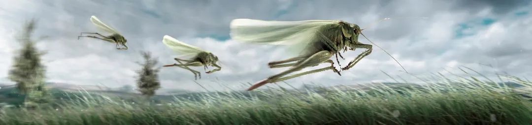 四喜：為什么說，成功營銷都是突破口營銷？(圖6)