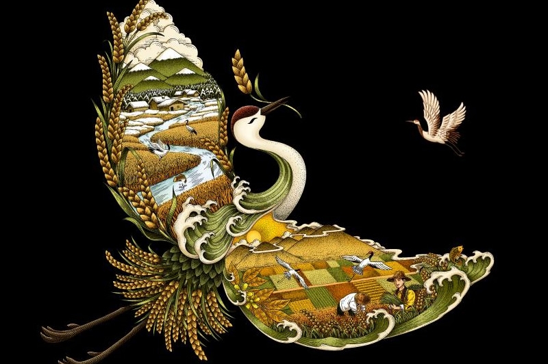 四喜如何通過包裝設(shè)計(jì)，讓金鶴黑珍珠大米彰顯高端定位