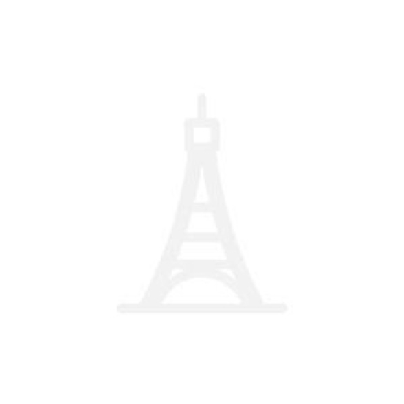 竹林鳥品牌logo設(shè)計欣賞與分析(圖1) 竹林鳥品牌logo設(shè)計欣賞與分析(圖1)