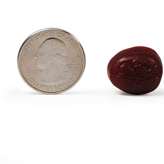 創(chuàng)意產(chǎn)品包裝設(shè)計(jì)旭福其他營(yíng)養(yǎng)包裝設(shè)計(jì)欣賞(圖3)