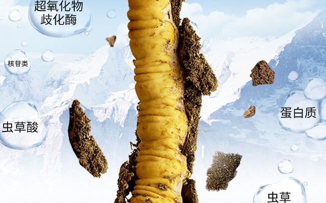 秦仁堂 秦仁堂品牌logo與產(chǎn)品包裝設(shè)計欣賞(圖2)