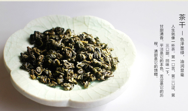 涌溪火青 涌溪火青品牌logo與產(chǎn)品包裝設(shè)計(jì)欣賞(圖3)