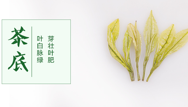 巴蜀玉葉品牌logo與產品包裝設計欣賞(圖2)