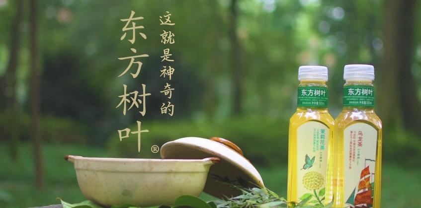 東方樹(shù)葉品牌logo與食品包裝設(shè)計(jì)欣賞(圖3)