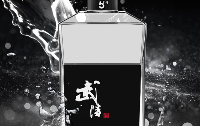 武陵 武陵品牌logo與食品包裝設(shè)計欣賞(圖2)