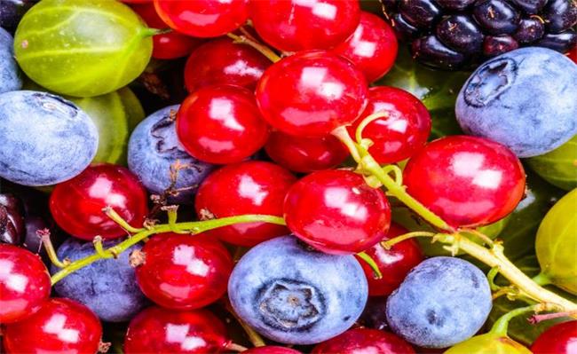 巨邦品牌logo與食品包裝設(shè)計欣賞(圖3)