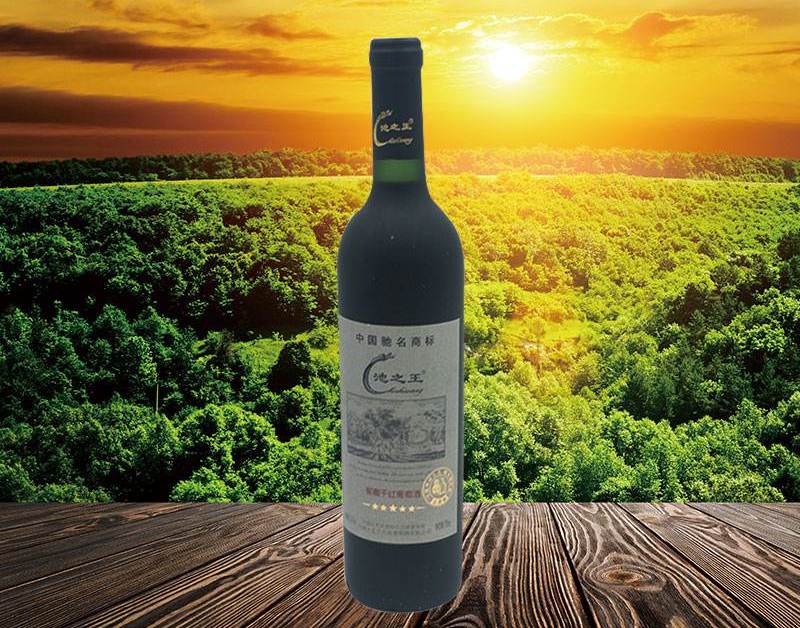 池之王品牌logo與食品包裝設(shè)計欣賞(圖3)