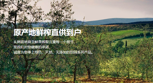 田園油橄欖品牌logo與食品包裝設(shè)計(jì)欣賞(圖3)