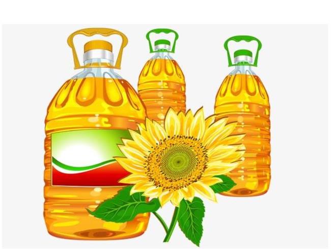 星河 XH星河品牌logo與食品包裝設(shè)計欣賞(圖2)