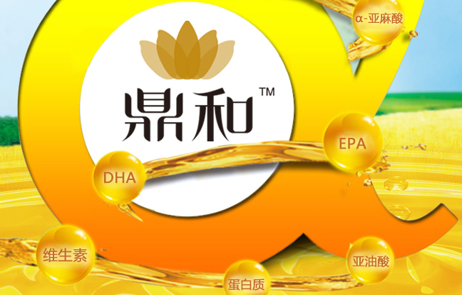 鼎和 鼎和品牌logo與食品包裝設(shè)計欣賞(圖4)