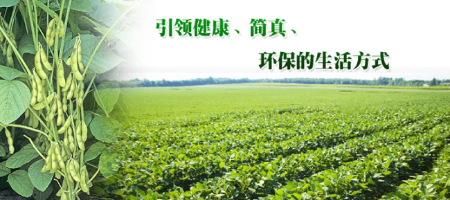 FUYIN福蔭品牌logo與食品包裝設(shè)計(jì)欣賞(圖4)