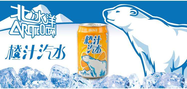 北冰洋品牌logo與食品包裝設(shè)計(jì)欣賞(圖4)