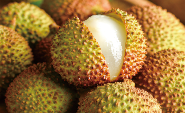 洪九果品 洪九果品品牌logo與食品包裝設(shè)計(jì)欣賞(圖2)