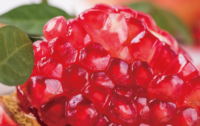 洪九果品 洪九果品品牌logo與食品包裝設(shè)計(jì)欣賞(圖4)