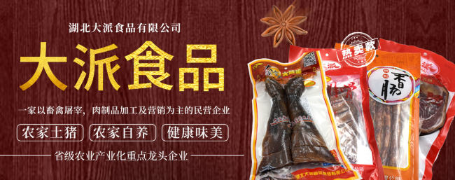 Dapai大派品牌logo與食品包裝設(shè)計(jì)欣賞(圖2)