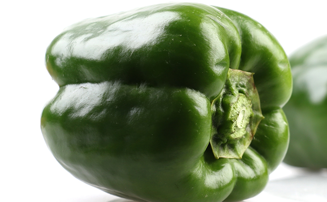 上膳源品牌logo與食品包裝設(shè)計(jì)欣賞(圖4)