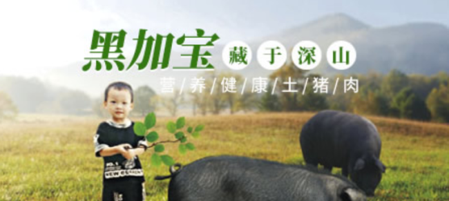 SBODY斯寶帝品牌logo與食品包裝設(shè)計(jì)欣賞(圖2)