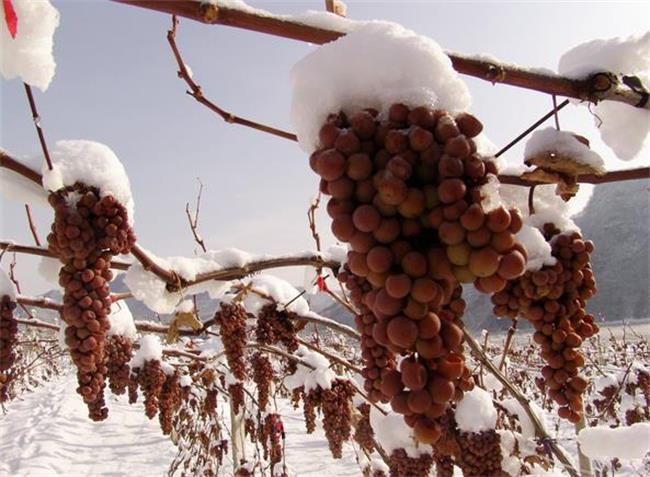 幸福小農(nóng) 幸福小農(nóng)品牌logo與食品包裝設(shè)計(jì)欣賞(圖2)